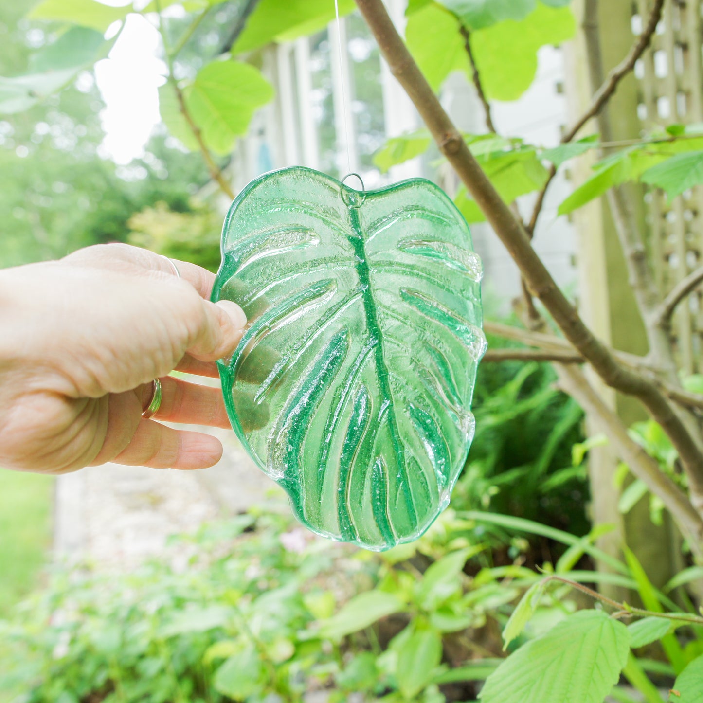 Monstera Leaf Glass Suncatcher 16.5cm(6 1/2"), botanical fused glass hanging ornament, variegated monstera garden decor, outdoor yard art glass