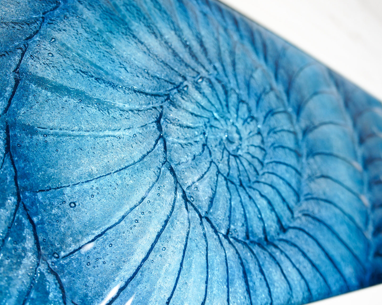 Large Ammonite Frame 60x30cm (23"x12"), Dark Blue & Blue Large Panoramic Glass Wall Art, Landscape Fossil Nautilus Fused Glass