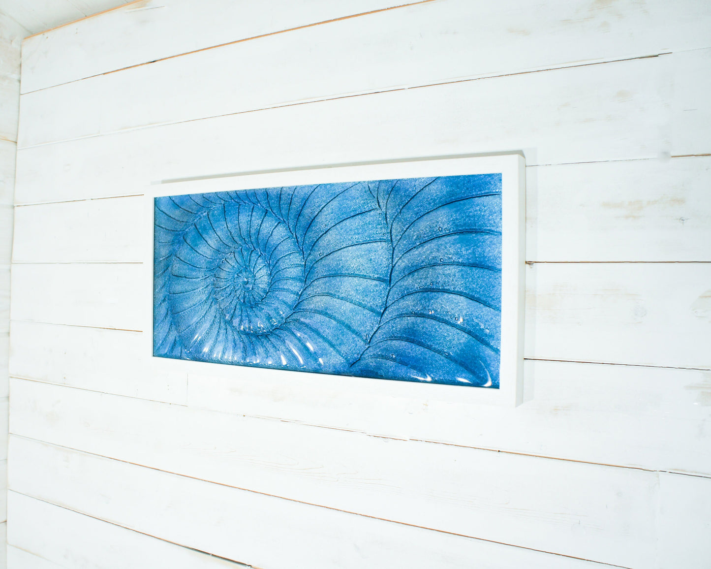 large ammonite frame, blue ammonite, ammonite wall art, coastal frame