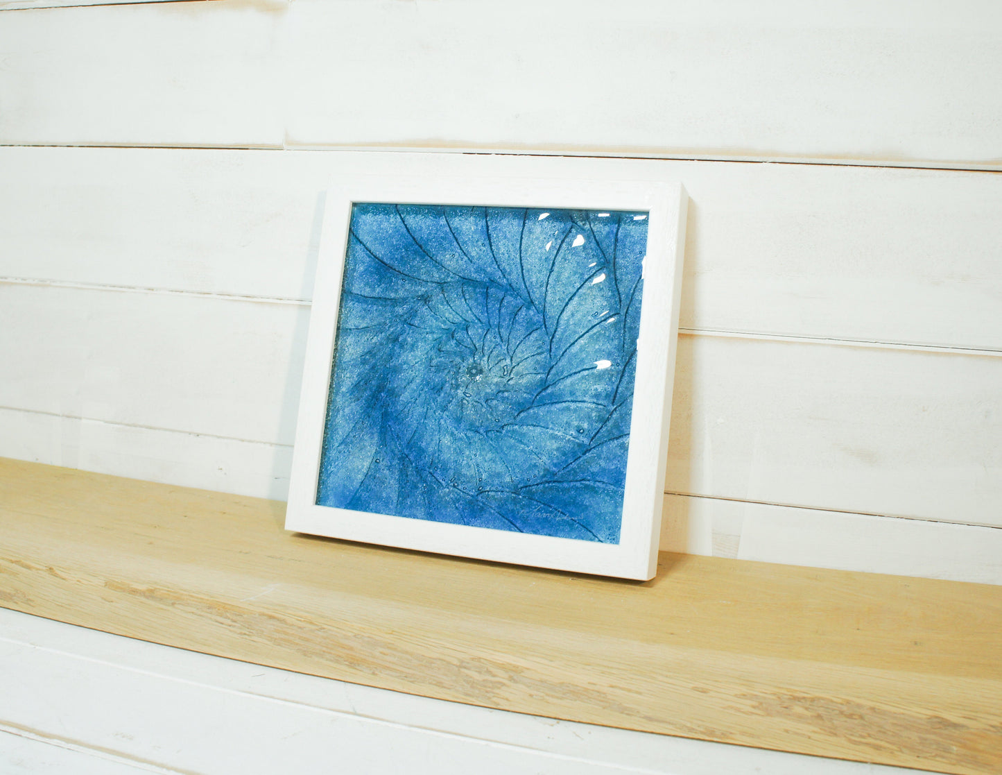 Ammonite Frame 25x25cm (10"x10"), Midnight Blue Ammonite Glass Framed Picture, Fossil Nautilus Seashell Coastal Wall Art, dark blue art