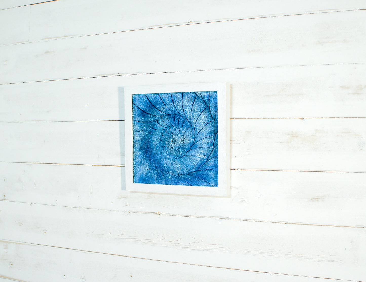 Ammonite Frame 25x25cm (10"x10"), Midnight Blue Ammonite Glass Framed Picture, Fossil Nautilus Seashell Coastal Wall Art, dark blue art