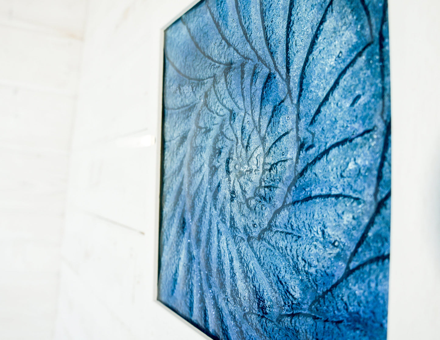 Ammonite Frame 25x25cm (10"x10"), Midnight Blue Ammonite Glass Framed Picture, Fossil Nautilus Seashell Coastal Wall Art, dark blue art