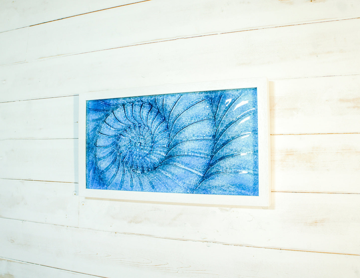 Glass Ammonite Frame 45x25cm (17x10"), Dark Blue Landscape Frame Wall Art, Ammonite Fossil Nautilus, Shell Picture