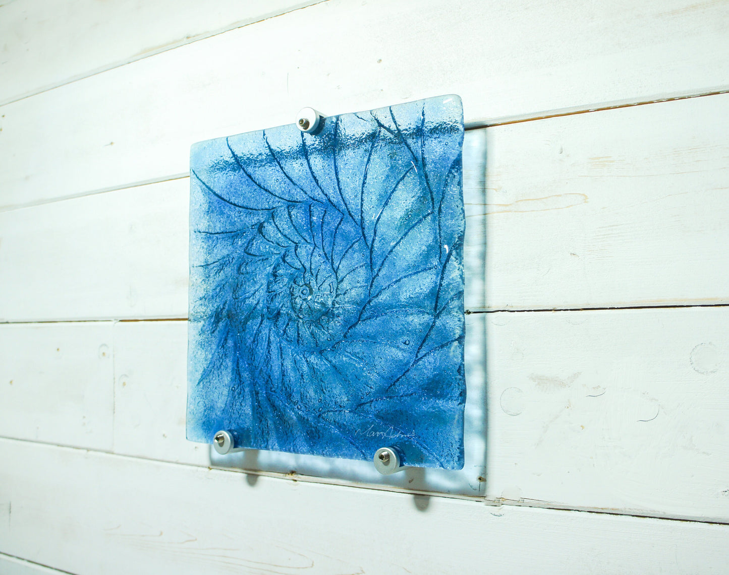 dark blue ammonite, blue wall art, blue sea glass, blue seashell, blue fossil