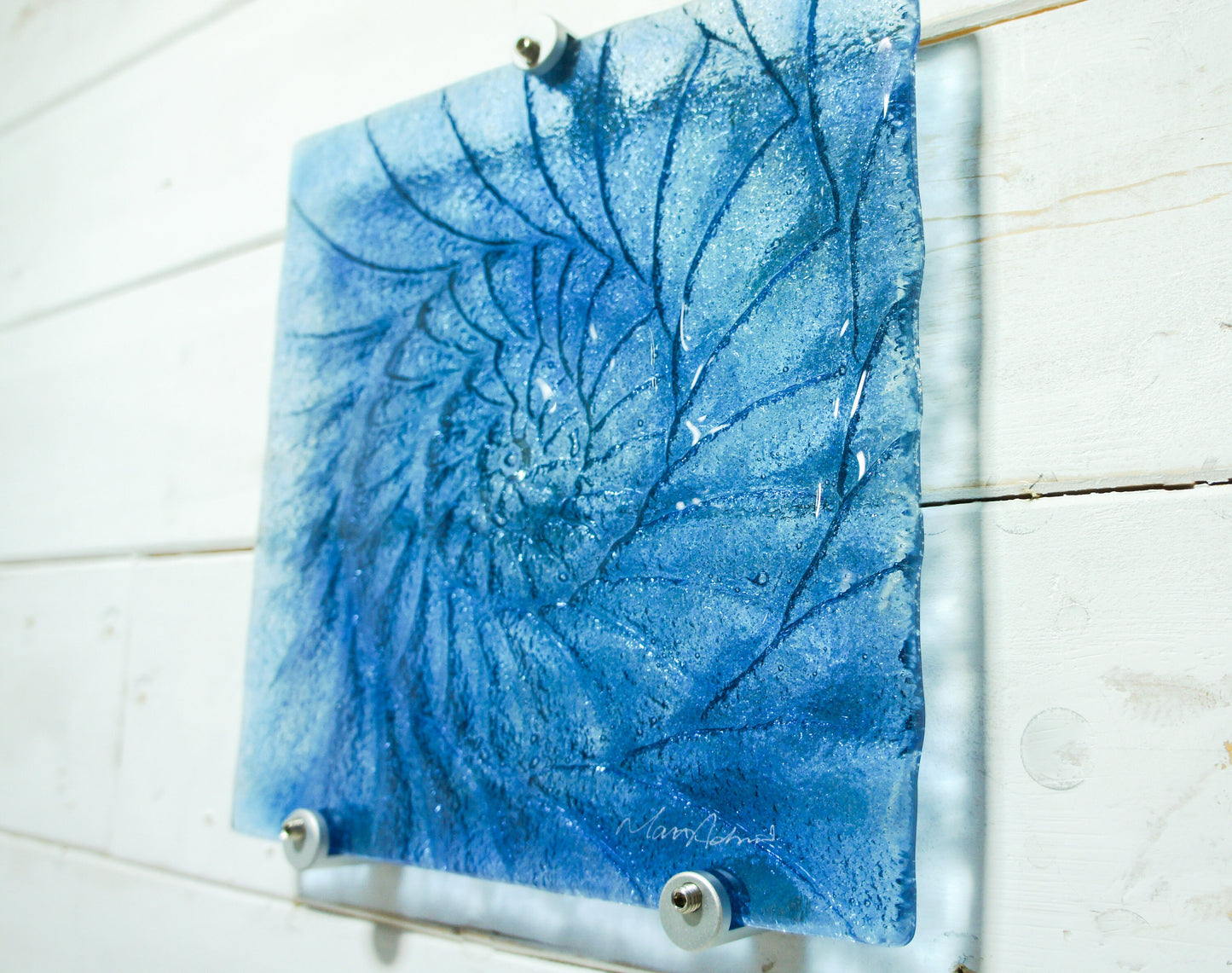 dark blue ammonite, blue wall art, blue sea glass, blue seashell, blue fossil