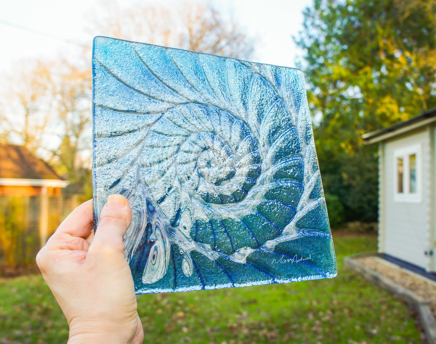 dark blue ammonite, blue wall art, blue sea glass, blue seashell, blue fossil