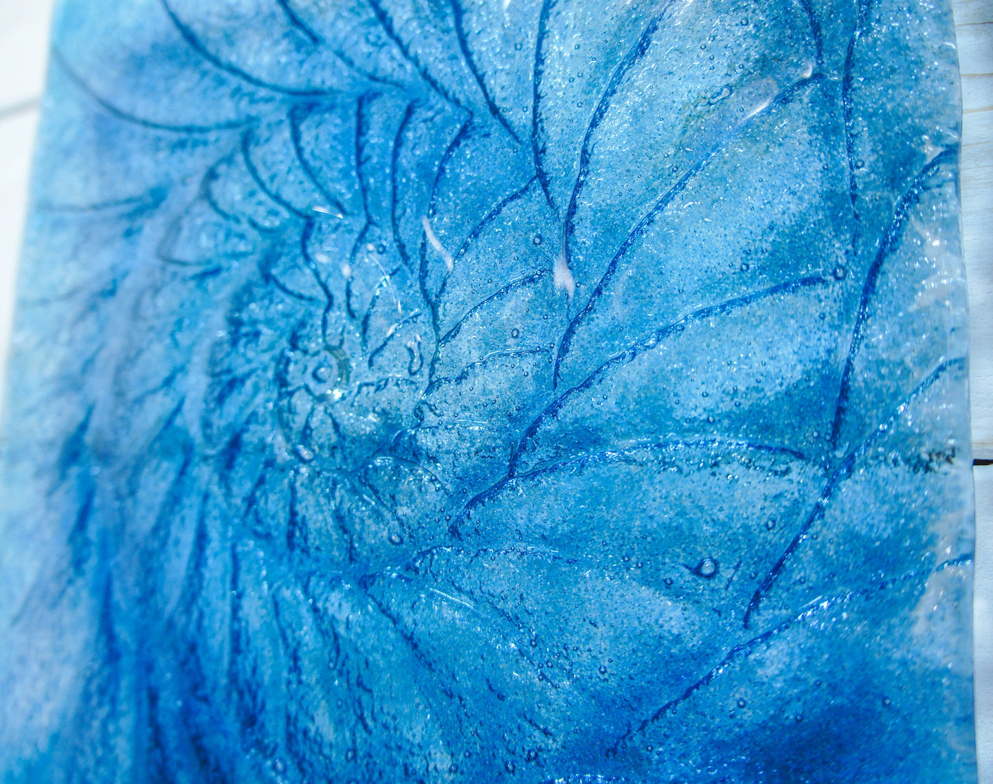 dark blue ammonite, blue wall art, blue sea glass, blue seashell, blue fossil