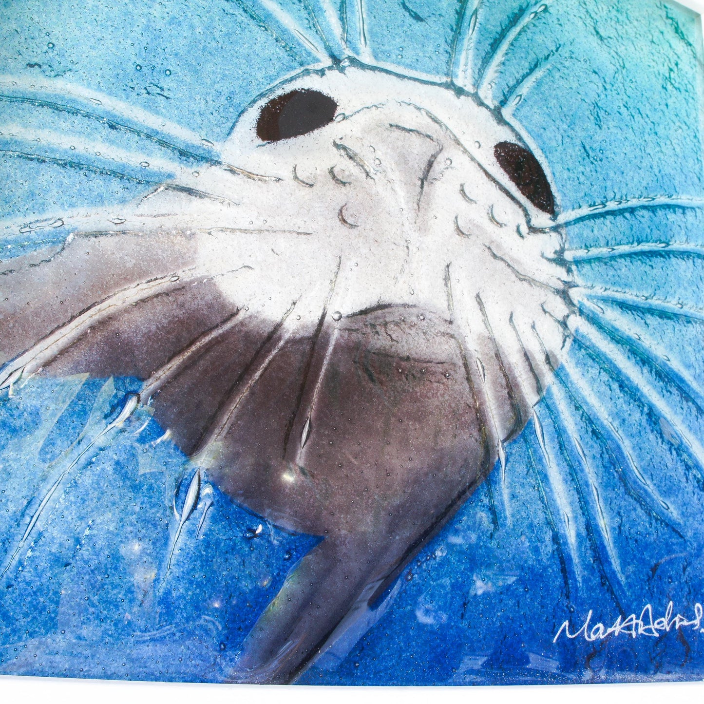 seal face fused glass art frame 25cm 10" blue teal water, underwater animal, animal print, wall art, pictureframe, unique wall art, wall hanging, handmade wall decor, vibrant piece of art, sea animal turquoise decor, sealface with moustache, cute art, seal swimming in deep sea