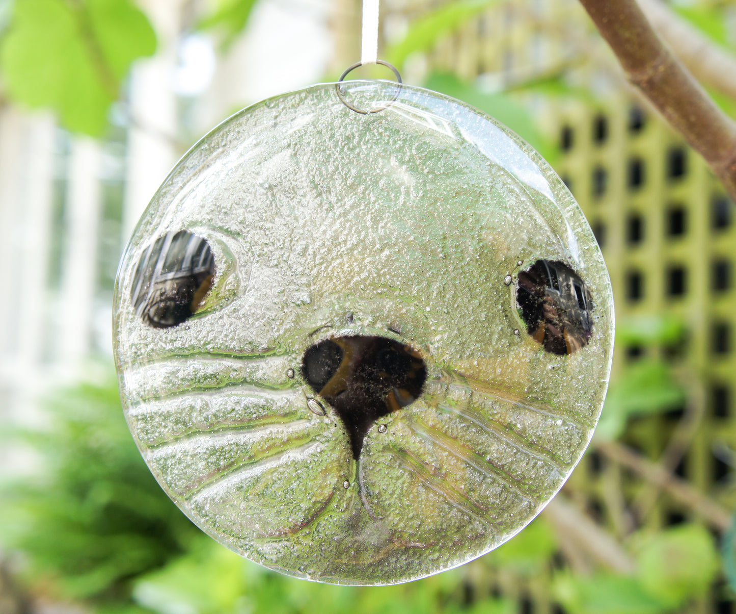round seal face fused glass clear and black suncatcher 12cm or 5"