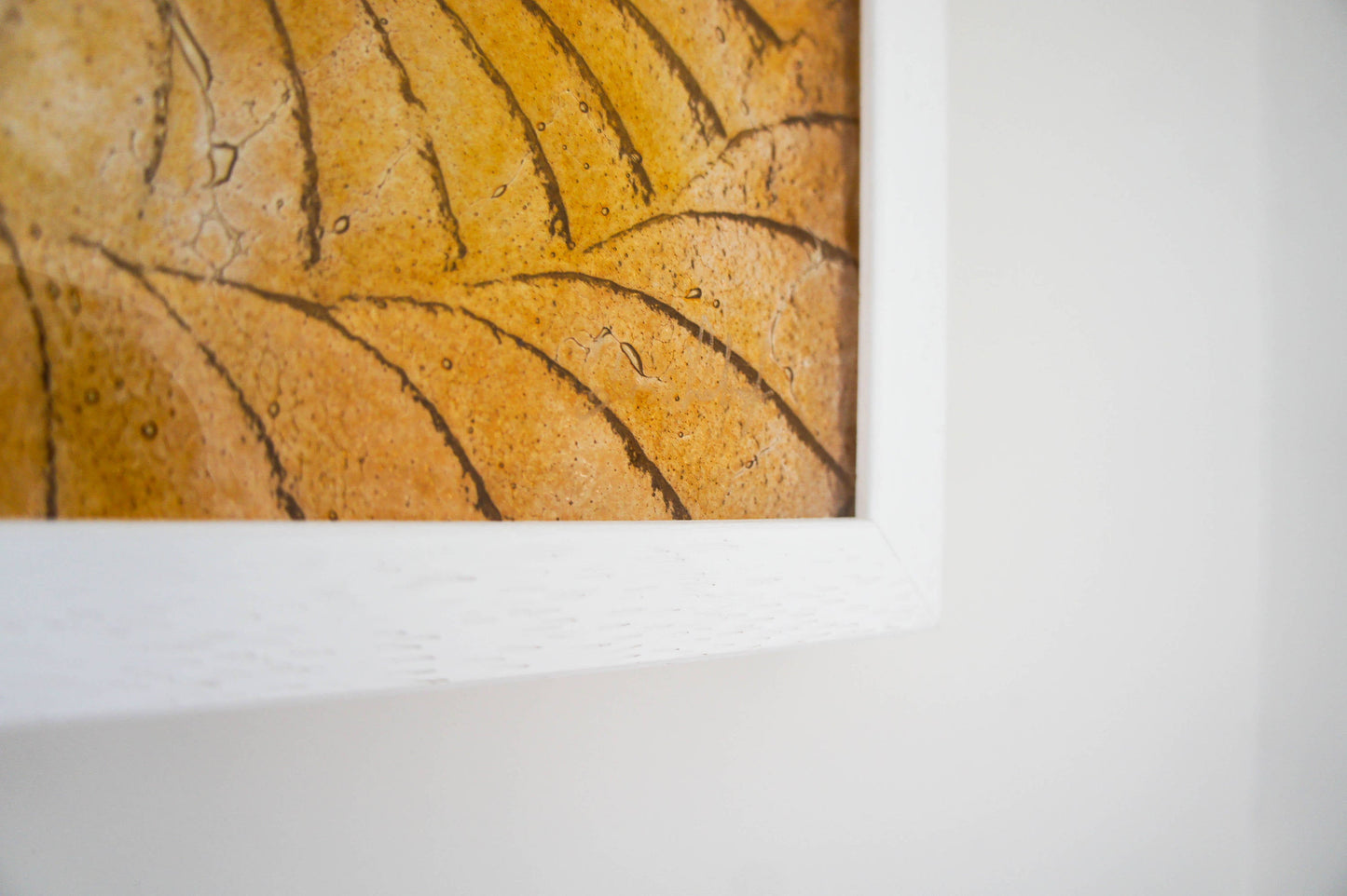 Ammonite Frame - Small Square - Amber - 25x25cm(10)