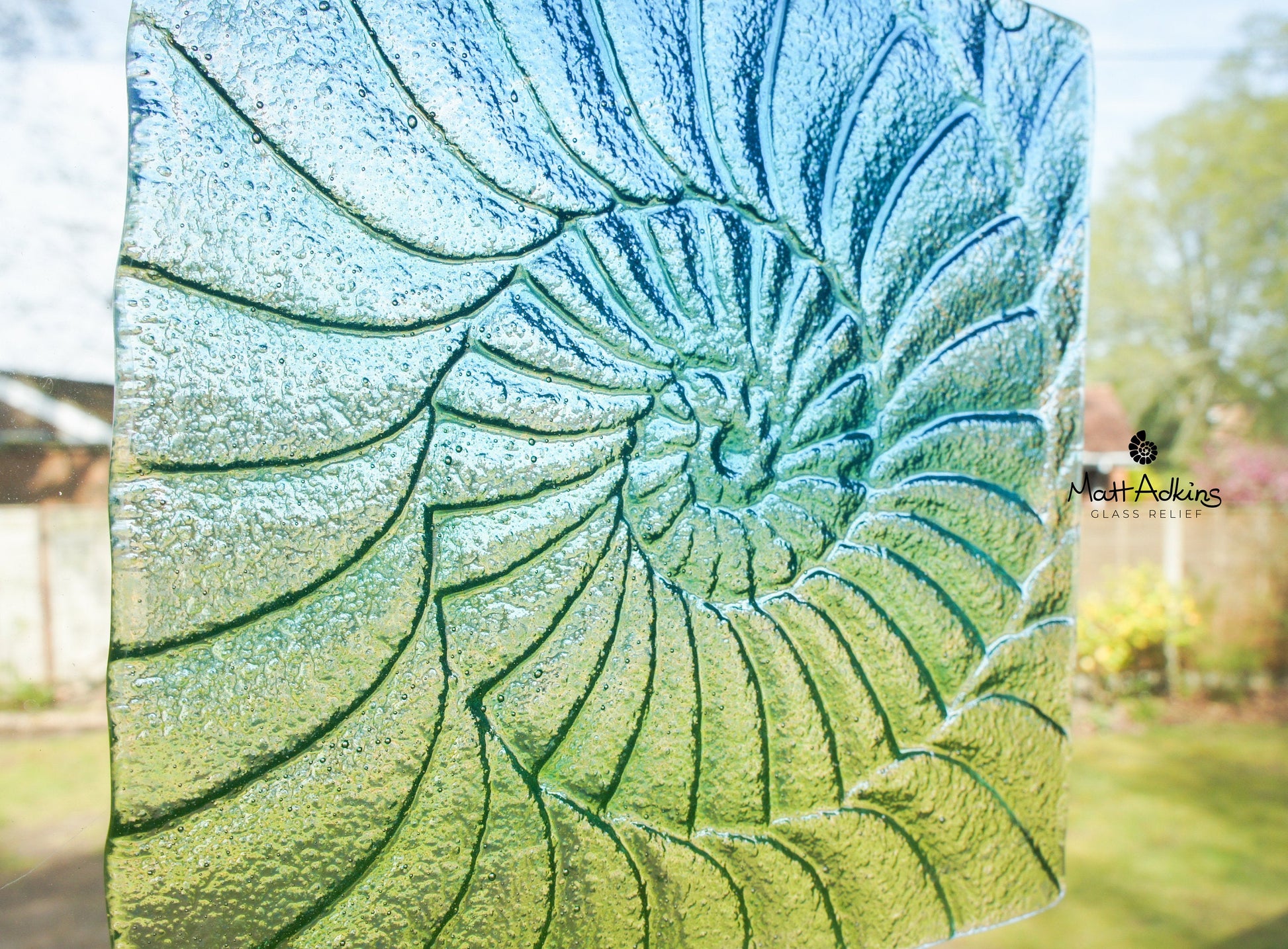 aqua green ammonite translucent window glass suncatcher