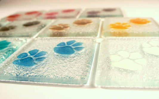 6 Paw Coasters - Choose your colours