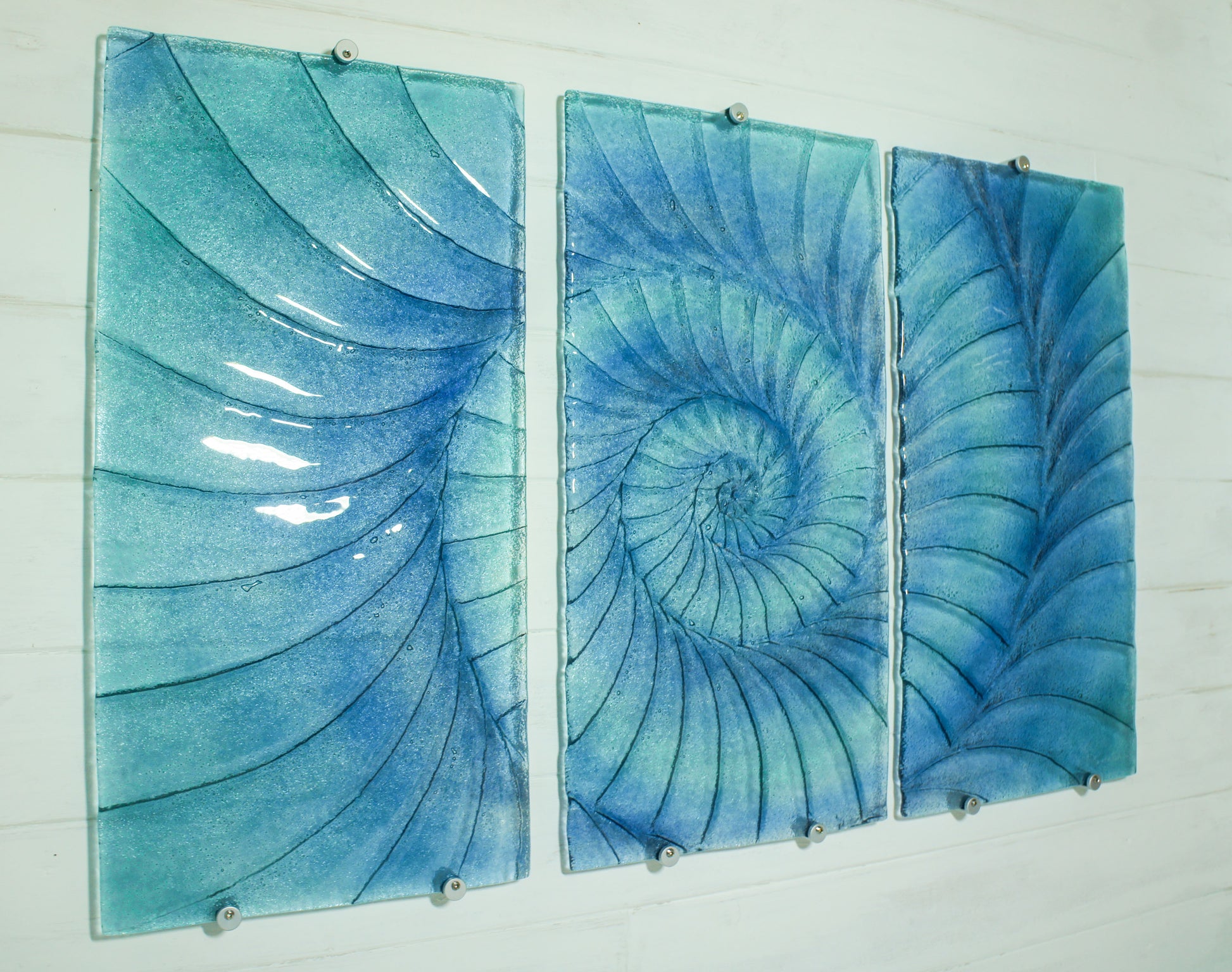 nautilus wall art