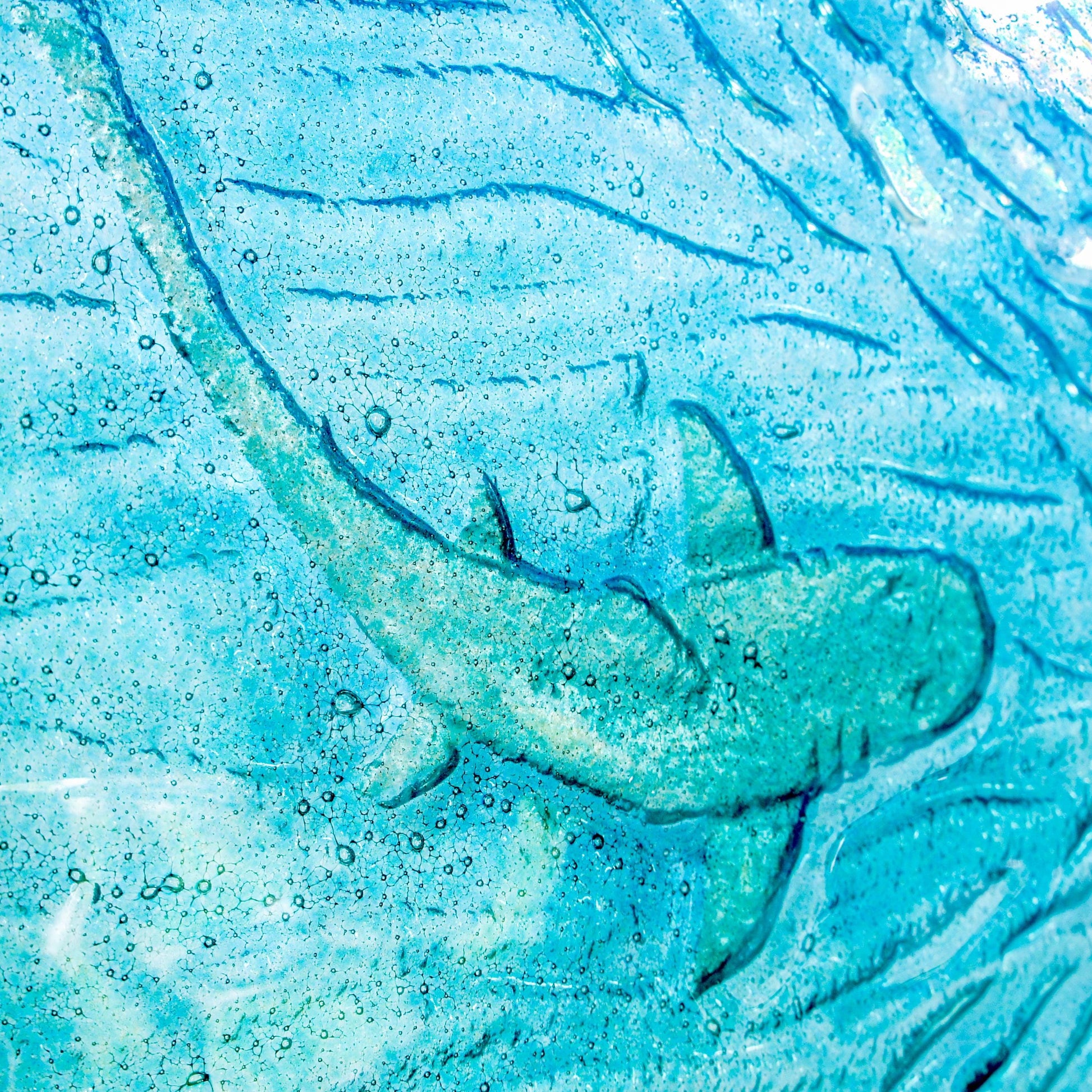 silver shimmering shark swimming in turquoise blue water with shoal of fish in textured fused glass in a white wooden frame 25x25cm (10")