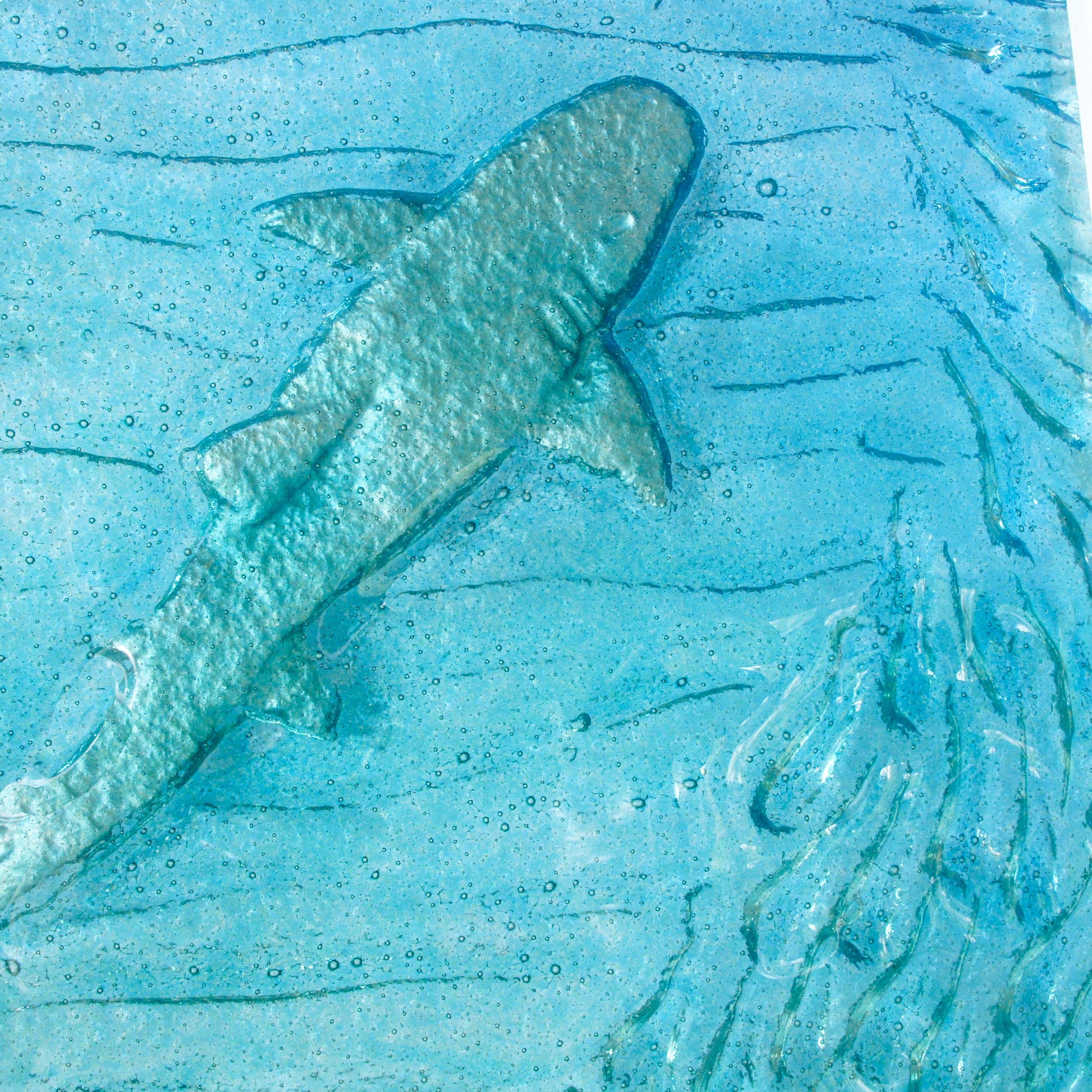 shimmering shark in art print, fused glass art