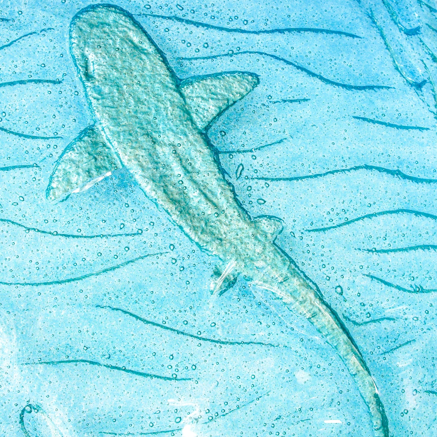 portrait silver shark white wooden frame fused glass large wall art shoal of fish in blue turquoise sea close up shark shimmering on surface