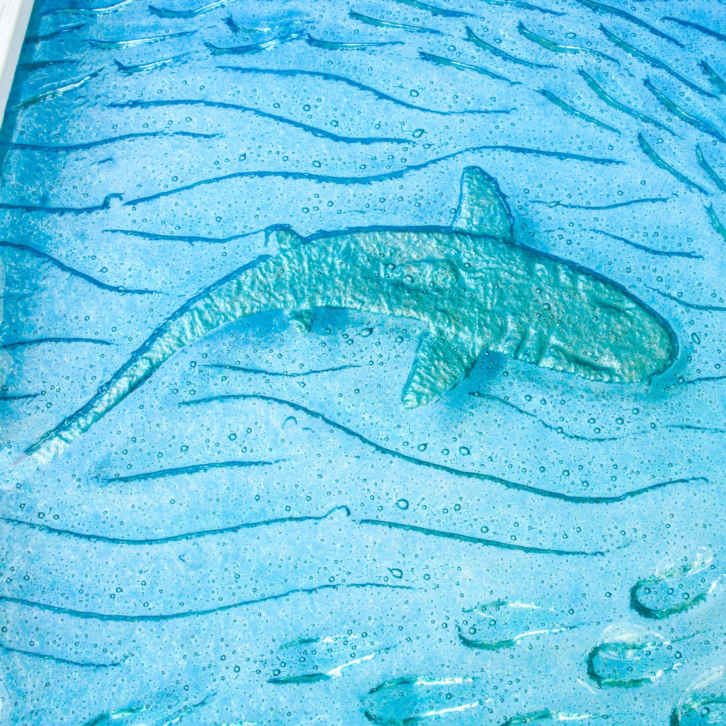 close view of silver shark swimming sideway in teal sea with shoal of fish around, framed in 25x45cm