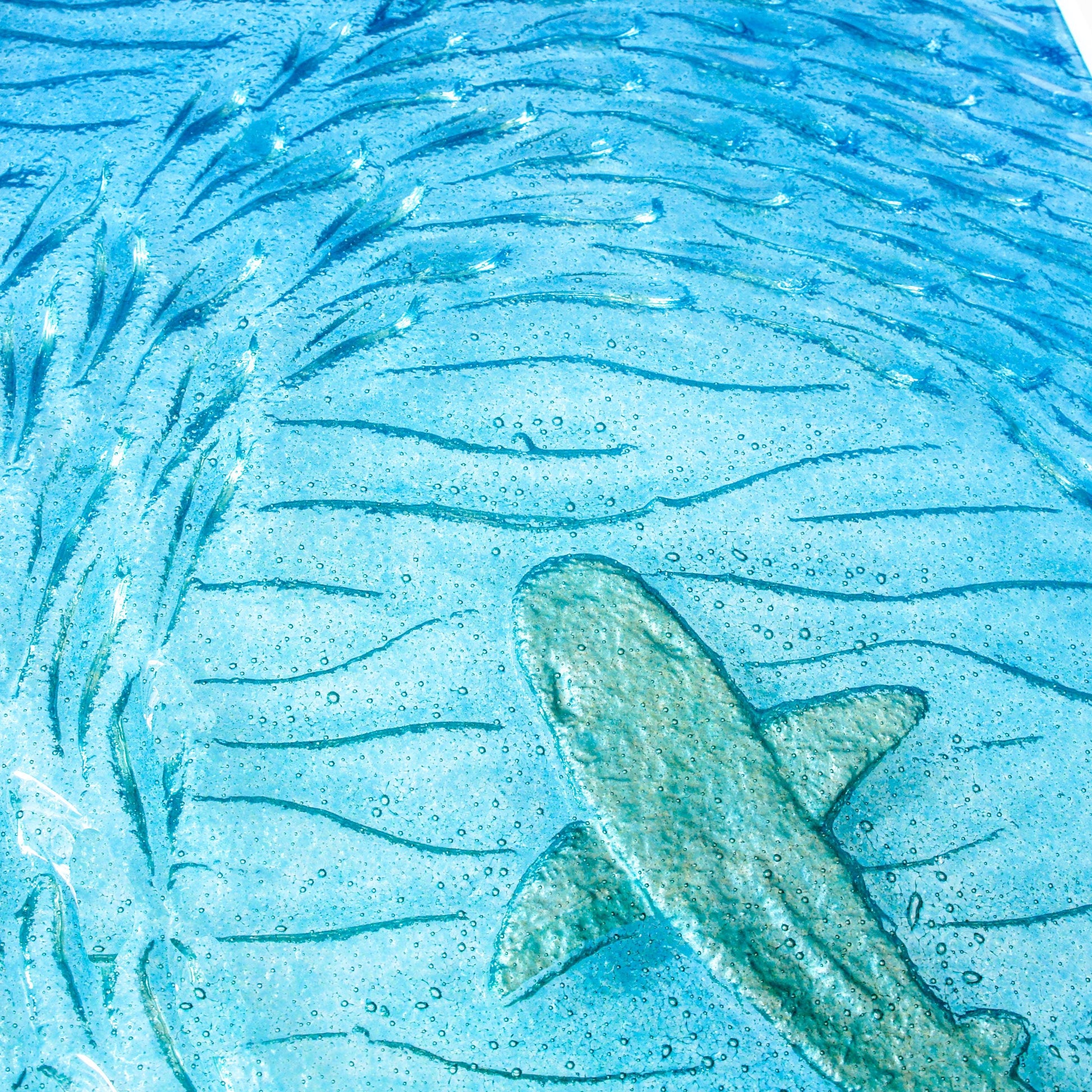 portrait silver shark white wooden frame fused glass large wall art shoal of fish in blue turquoise sea close up head shark shimmering on surface