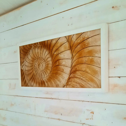 Ammonite Frame - Large Landscape - Amber - 60x30cm(23"x12")