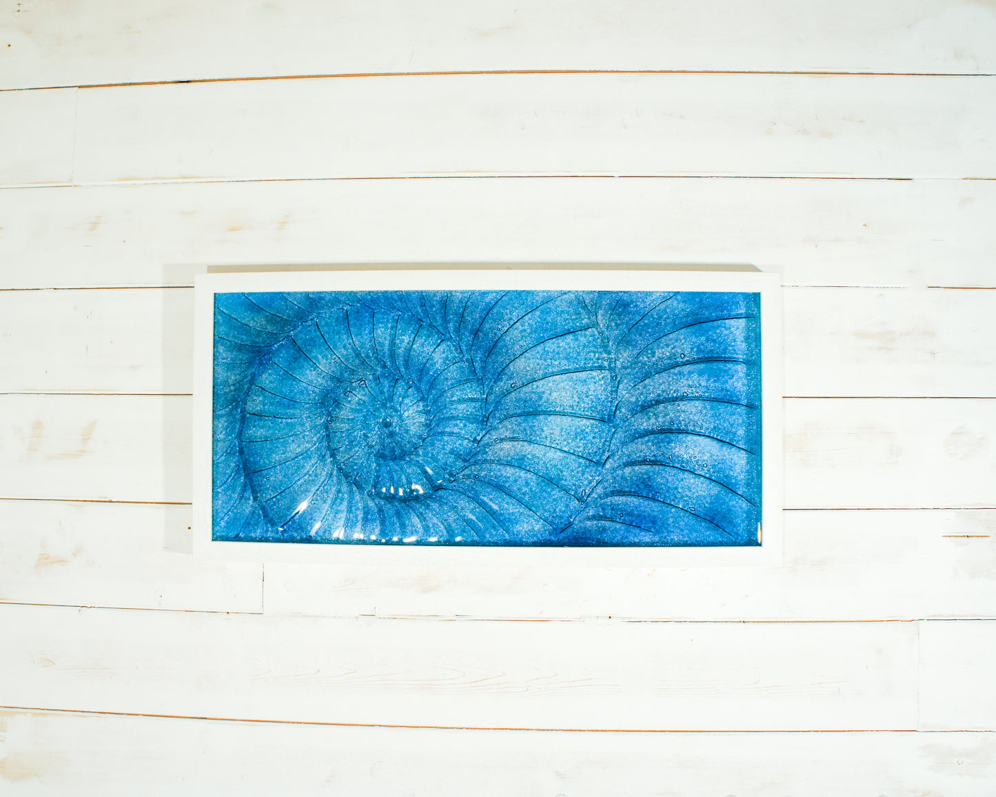 dark blue ammonite wall art