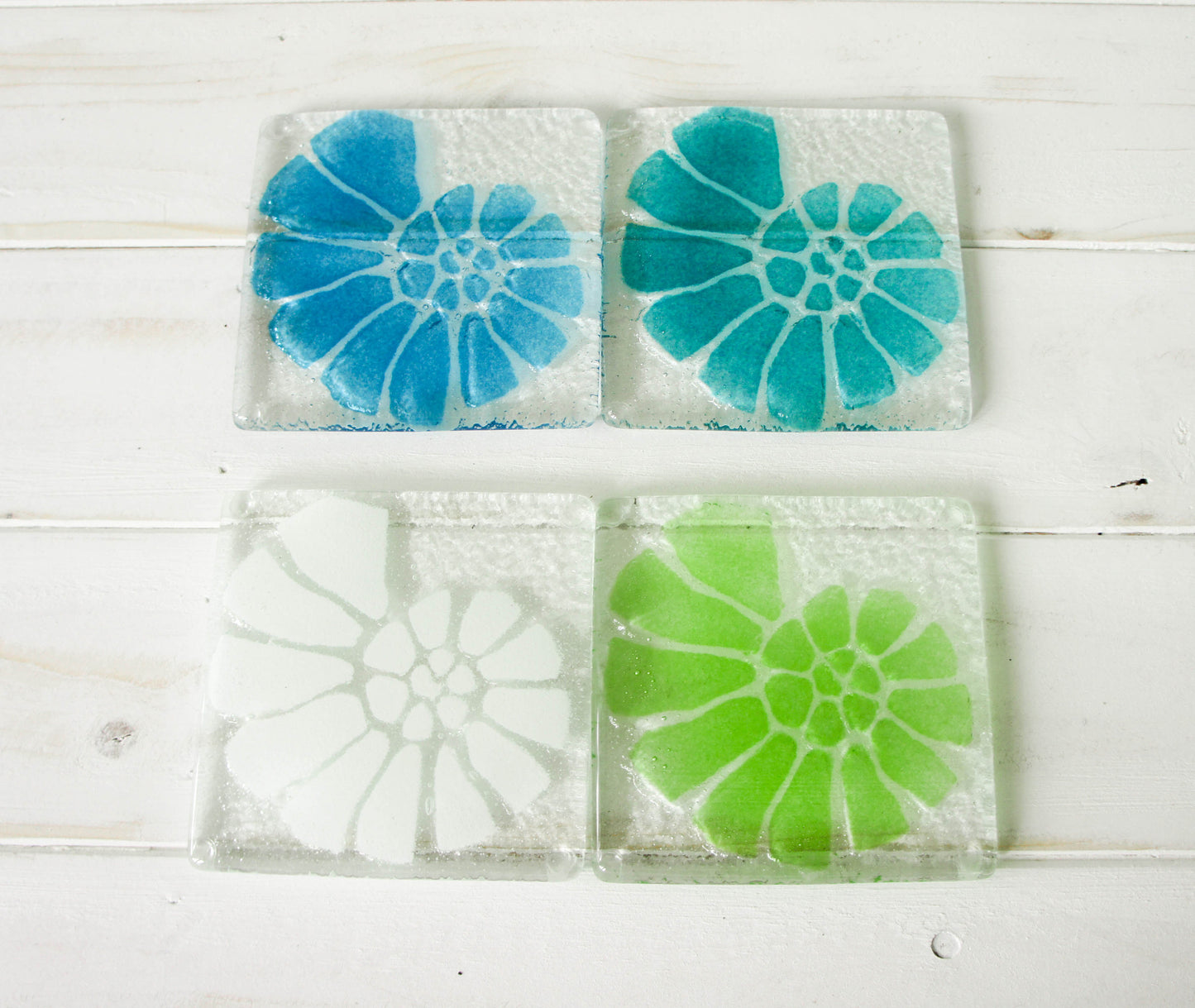 6 Ammonite Coasters - Choose your colours