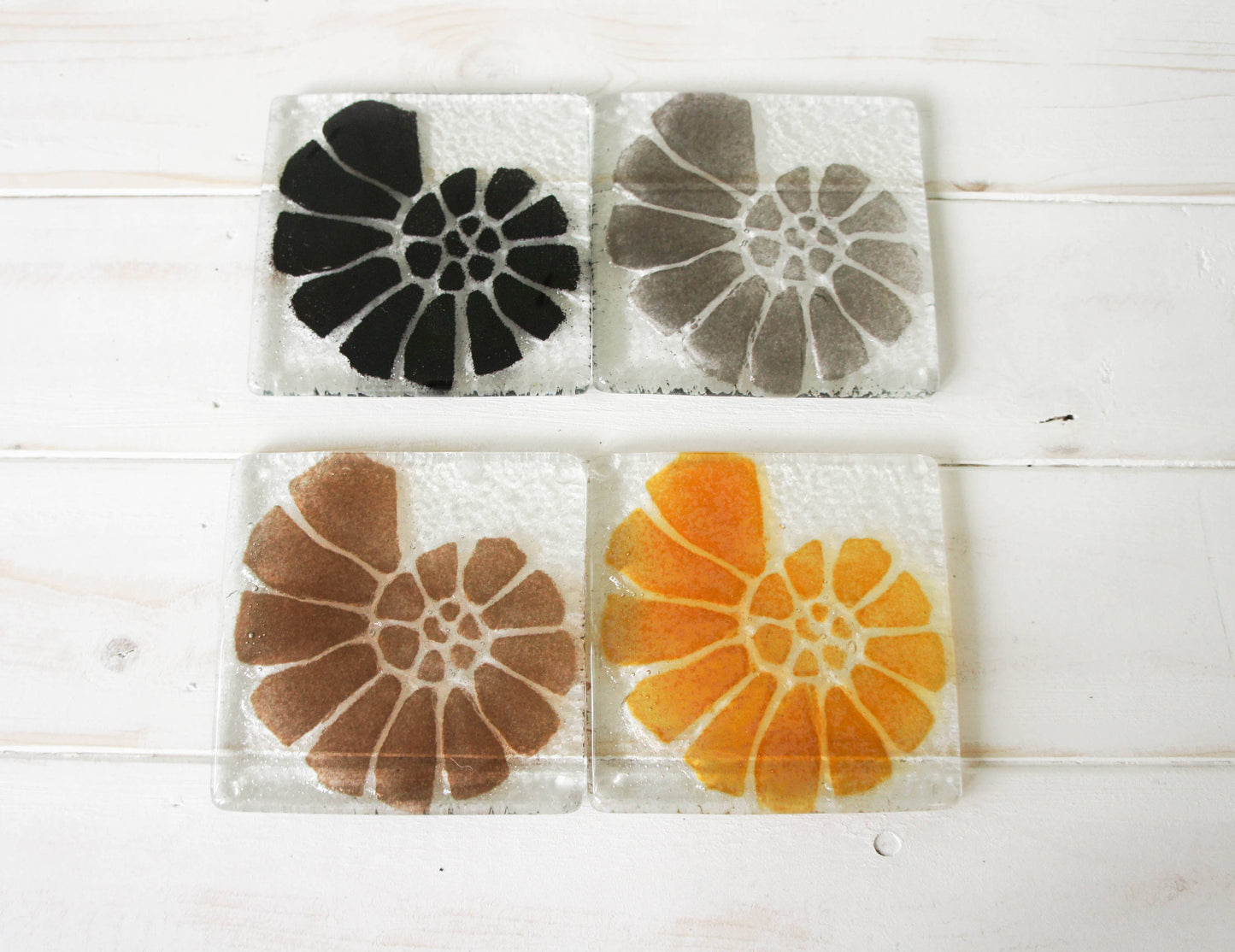 4 Ammonite Coasters - Choose your colours