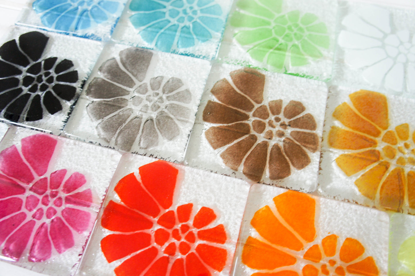 2 Ammonite Coasters - Choose you colours