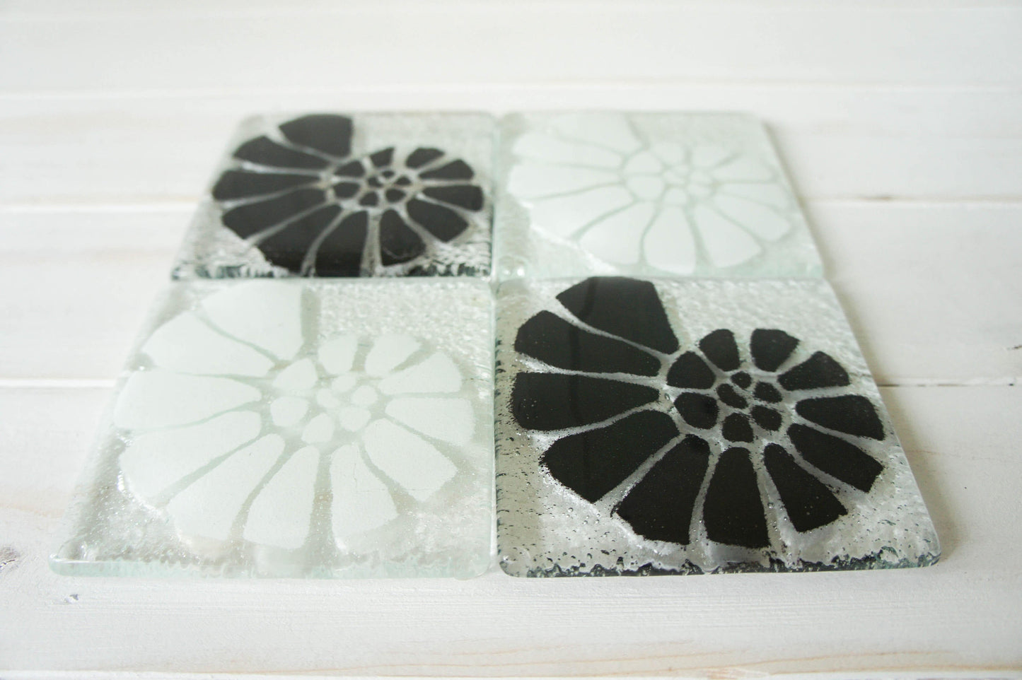 4 Black&White Ammonite Coasters