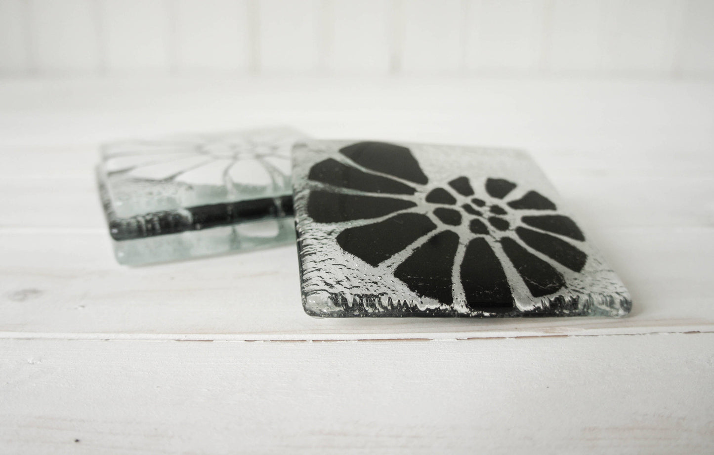 4 Black&White Ammonite Coasters