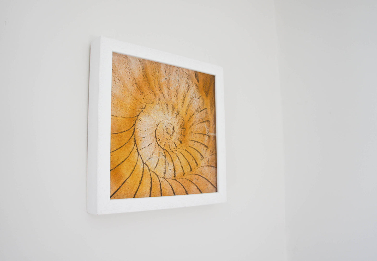 Ammonite Frame - Small Square - Amber - 25x25cm(10)