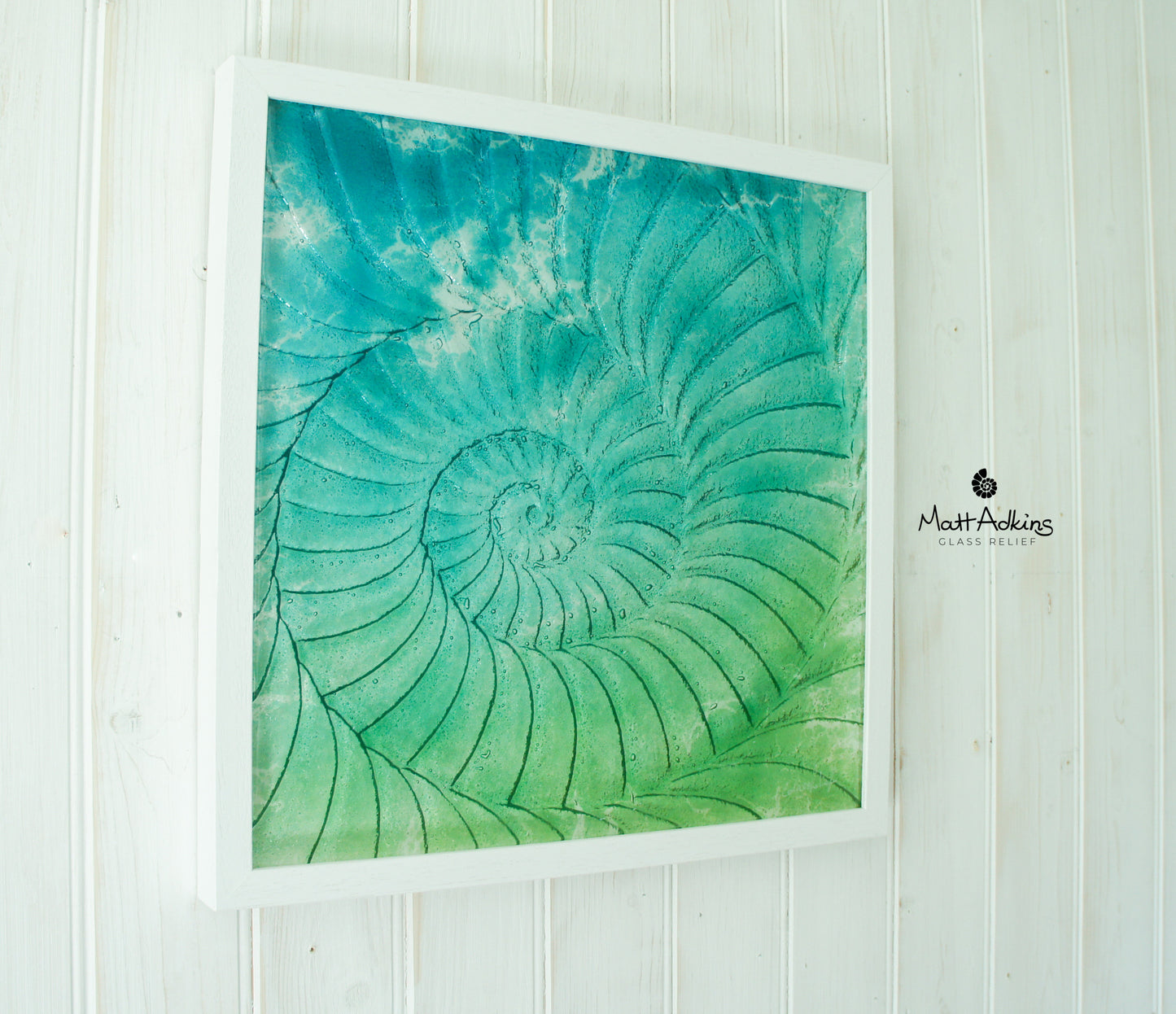 ammonite wall art